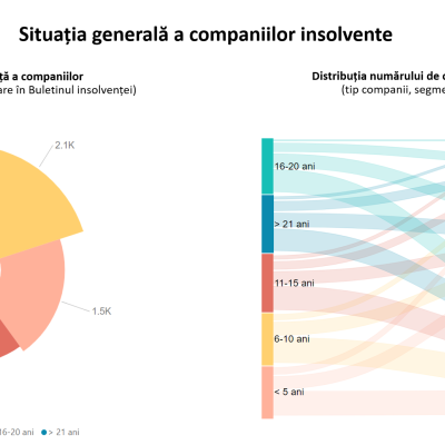 Sierra Quadrant: Prototipul firmei vulnerabile la insolvență