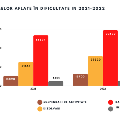 situatia firmelor 2021
